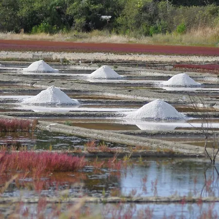 Casa vacanze Maison Familiale Calme, à 5 Km Des Plages, Jardin Clos, Garage, Wifi, Proche Guérande Et La Baule - Fr-1-306-1264 *