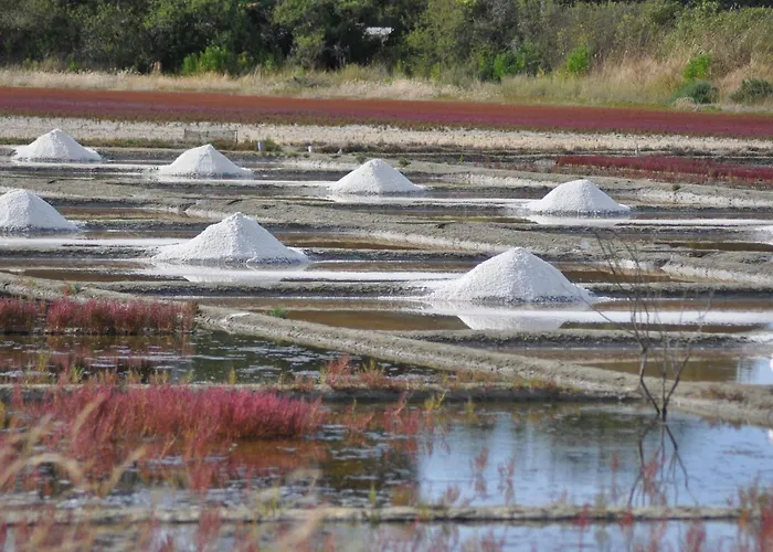 Tatil Evi Maison Familiale Calme, A 5 Km Des Plages, Jardin Clos, Garage, Wifi, Proche Guerande Et La Baule - Fr-1-306-1264 *